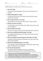 Vorschau - Arbeitsblätter - AB mit Fragen zum Thema "Taiga" + Lösungsblatt + Infografik - Seite 2
