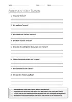 Vorschau - Arbeitsblätter - AB mit Fragen zum Thema "Tanne" + Lösungsblatt + Infografik - Deckblatt