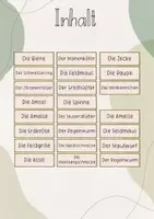Vorschau - Stundenentwürfe - Tafelbild: Die Tiere der Wiese / Die Bewohner der Wiese / Die Stockwerke der Wiese - Seite 2