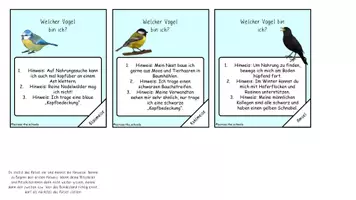 Vorschau - Spiele - Unsere heimischen Vögel: Wer bin ich? - Spiel - Seite 1