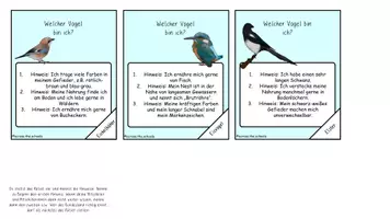 Vorschau - Spiele - Unsere heimischen Vögel: Wer bin ich? - Spiel - Seite 3