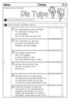 Vorschau - Arbeitsblätter - Tulpe, Tulpenjahr Lesespaziergang oder Lesezuordnung - Seite 1