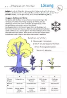 Vorschau - Stundenentwürfe - Pflanzen im Winter - Überwinterungsstrategien - Seite 2
