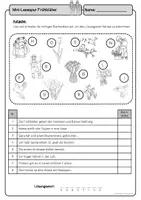 Vorschau - Arbeitsblätter - Mini-Lesespur Frühblüher (Klasse 1/2) #hellospringateduki - Seite 3