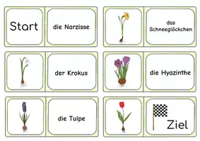 Vorschau - Arbeitsblätter - Lesedomino - Frühblüher - Seite 1