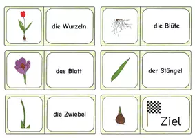 Vorschau - Arbeitsblätter - Lesedomino - Frühblüher - Seite 2