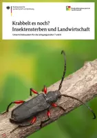 Vorschau - Stundenentwürfe - Krabbelt es noch? Insektensterben und Landwirtschaft - Deckblatt