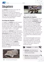 Vorschau - Arbeitsblätter - Entstehung der Säugetiere / Evolution - AB mit Lösungen - Seite 1