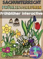 Vorschau - Arbeitsblätter - Frühblüher: Sparpaket - Growing Bundle - Seite 2