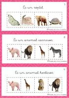 Vista previa - Refuerzo / NEE / Materiales de apoyo - Joc: classificació d'animals - avaluació - página 3