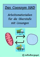 Vorschau - Arbeitsblätter - Das Coenzym NAD (Nicotinamid-Adenin-Dinukleotid) - Deckblatt