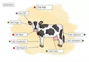 Vorschau - Unterrichtsreihen - Lerntheke zum Thema "Bauernhof"- die Kuh - Seite 3