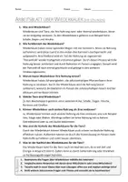 Vorschau - Arbeitsblätter - AB mit Fragen zum Thema "Wiederkäuer" + Lösungsblatt + Mindmap + Infografik - Seite 3