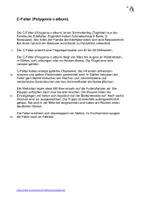 Vorschau - Stationenlernen - C-Falter Tagfalter/Schmetterling Interaktiv Sachkunde/HSU - Seite 2