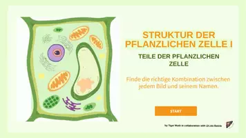 Vorschau - Spiele - INTERAKTIVES QUIZ: STRUKTUR DER PFLANZLICHEN ZELLE I - Seite 2