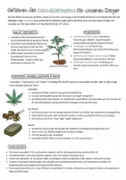 Vorschau - Arbeitsblätter - Cannabis, Marihuana & Hasch / Arbeitsblatt zur Suchtprävention - Seite 1