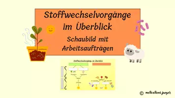 Vorschau - Arbeitsblätter - Stoffwechselvorgänge im Überblick: Schaubild und Aufgaben - Deckblatt