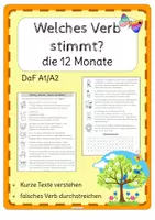 Vorschau - Arbeitsblätter - DaF/DaZ 12 Monate - Welches Verb stimmt? - Deckblatt