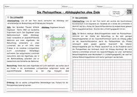Vorschau - Stationenlernen - Photosynthese Abhängigkeiten - Gruppenarbeit: Temperatur, Kohlenstoffdioxid, Licht - Seite 1
