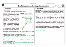 Vorschau - Stationenlernen - Photosynthese Abhängigkeiten - Gruppenarbeit: Temperatur, Kohlenstoffdioxid, Licht - Seite 3
