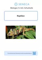 Vorschau - Arbeitsblätter - Reptilien - Biologie 5. & 6. Klasse - Deckblatt