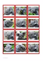 Vorschau - Spiele - Koala-Merkspiel - Seite 3