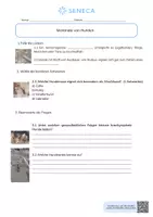 Vorschau - Arbeitsblätter - Merkmale von Hunden - Biologie 5. & 6. Klasse - Seite 3