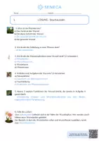 Vorschau - Arbeitsblätter - Baumwurzeln - KOSTENLOS - Biologie 5. & 6. Klasse - Seite 2