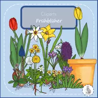 Vorschau - selbst erstellte Cliparts/Grafiken - Frühblüher Blumen im Frühling Cliparts Tulpe - Deckblatt