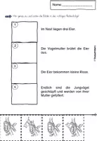 Vorschau - Arbeitsblätter - Arbeitsblätter Frühling 2. Klasse - Seite 3