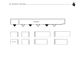 Vorschau - Arbeitsblätter - Lerntheke der Mensch - M2 - Das Herz, Modell zum Basteln - Seite 1