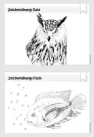 Vorschau - Unterrichtsreihen - Tiere zeichnen: schraffieren | schummern | schattieren - Seite 3