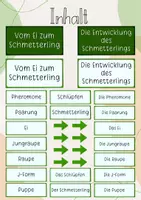 Vorschau - Unterrichtsreihen - Tafelbild: Vom Ei zum Schmetterling/ Die Entwicklung des Schmetterlings - Seite 1