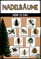 Vorschau - Spiele - "Merk es dir"- Spiel zu den Nadelbäumen - Deckblatt