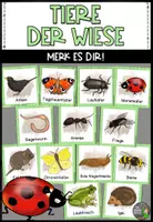 Vorschau - Spiele - Wiesentiere - "Merk es dir"-Spiel - Deckblatt