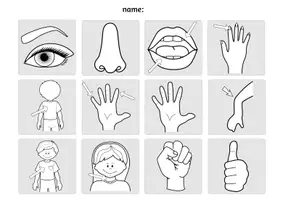 Vorschau - Arbeitsblätter - MY BODY - bodyparts Read - match - glue - Seite 3