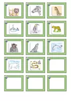 Vorschau - Spiele - Materialpaket: animali selvatici - Seite 3