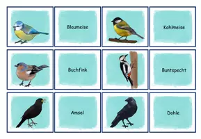Vorschau - Spiele - Unsere heimischen Vögel: Immer zwei! - Spiel - Seite 1