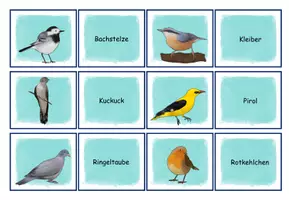 Vorschau - Spiele - Unsere heimischen Vögel: Immer zwei! - Spiel - Seite 3