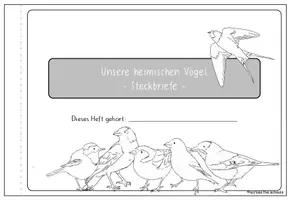 Vorschau - Mal- und Bastelvorlagen - Unsere heimischen Vögel: Steckbrief-Heftchen - Seite 1