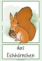Vorschau - Bildkarten - Unsere Wild- & Waldtiere: Tafelmaterial - Seite 3