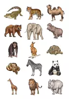 Vorschau - Stationenlernen - WILD ANIMALS - Spiele zur Festigung des Wortschatzes - Seite 3