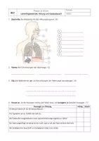 Vorschau - Test - Kurzkontrolle Atmung Gasaustausch Diffusion Bio 8. Klasse - Deckblatt
