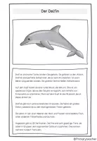 Vorschau - Unterrichtsreihen - Die Tiere des Ozeans/ Meerestiere: Arbeitsheft (Kl. 2/3) - Seite 3