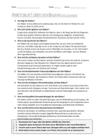 Vorschau - Arbeitsblätter - AB mit Fragen zum Thema "Balkan" + Lösungsblatt + Infografik - Seite 2