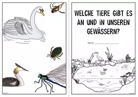 Vorschau - Arbeitsblätter - Heimische Gewässer - Tiere im und am Gewässer - Seite 1