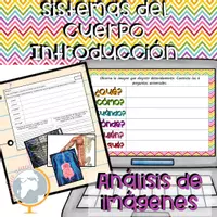 Vista previa - Juegos / Gamificación - Los sistemas del cuerpo introducción análisis de imágenes - Portada