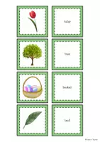Vista previa - Juegos / Gamificación - Spring Picture + Word Cards | Vocabulary | Matching Pairs - página 2