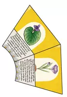 Vorschau - Poster - Frühblüher - Legekreis - 3.&4.Klasse - Seite 3