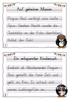 Vorschau - Aufgabenkarten - Abschreibtexte Pinguine mit Lineatur - Druckschrift - Seite 1